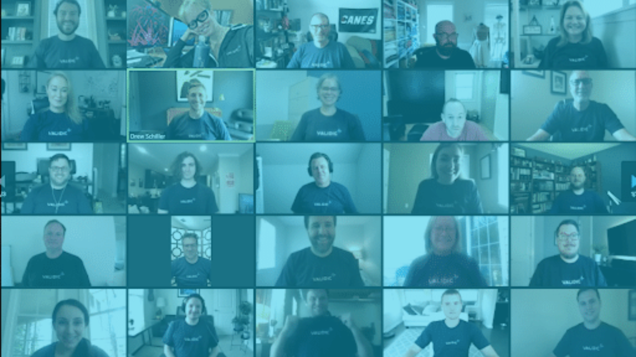 Grid of Validic team members on a video call wearing matching company t-shirts.